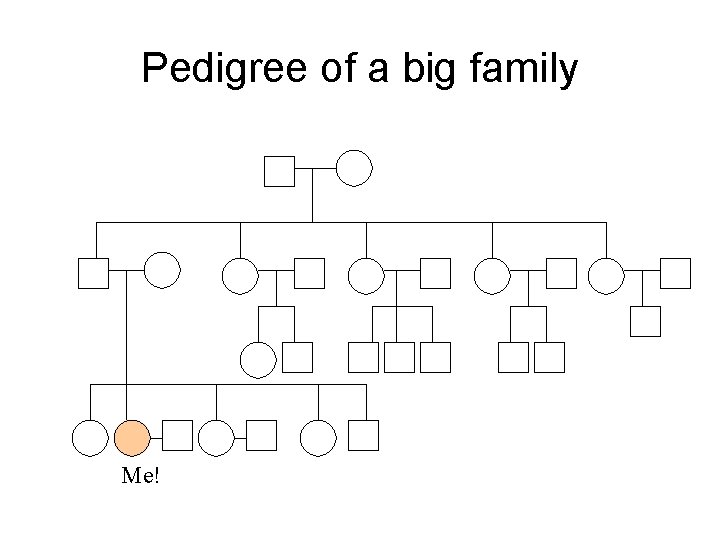 Pedigree of a big family Me! Pedigree of a big family Me!