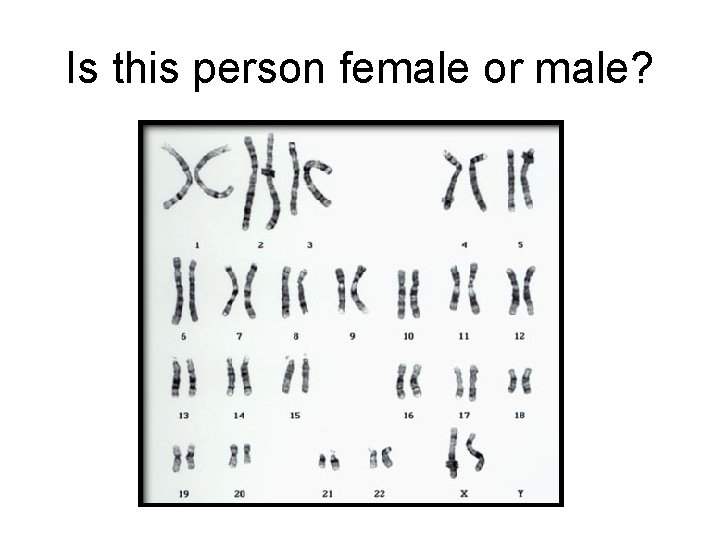 Is this person female or male? Is this person female or male?
