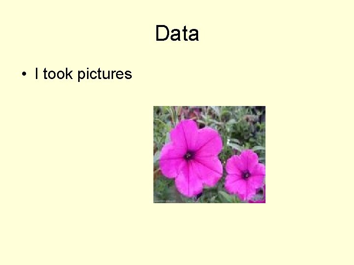 Data • I took pictures 