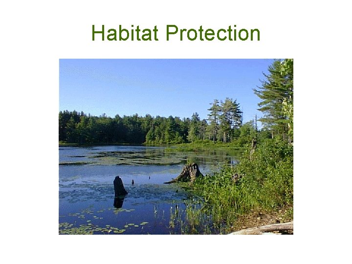 Habitat Protection 