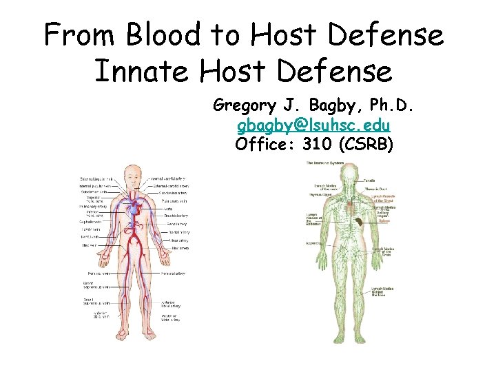 From Blood to Host Defense Innate Host Defense Gregory J. Bagby, Ph. D. gbagby@lsuhsc.