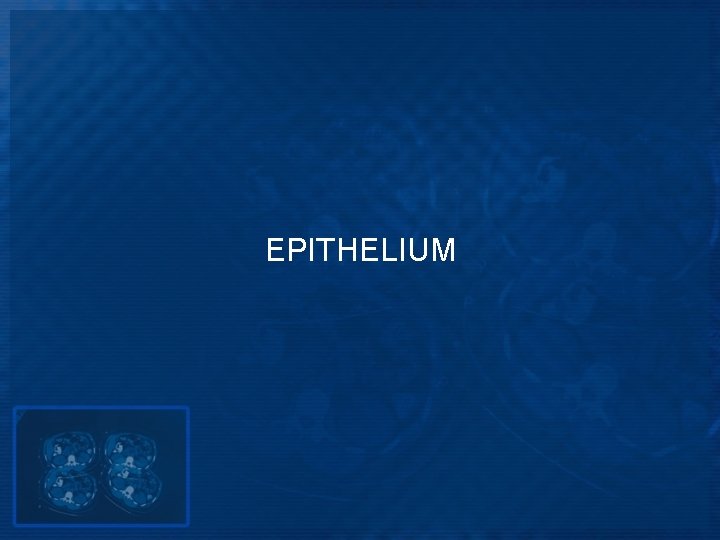 EPITHELIUM 