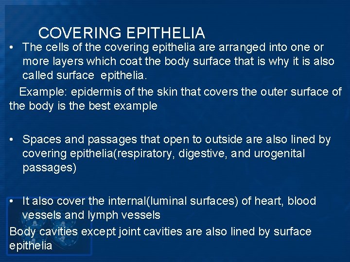 COVERING EPITHELIA • The cells of the covering epithelia are arranged into one or