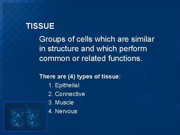 TISSUE Groups of cells which are similar in structure and which perform common or