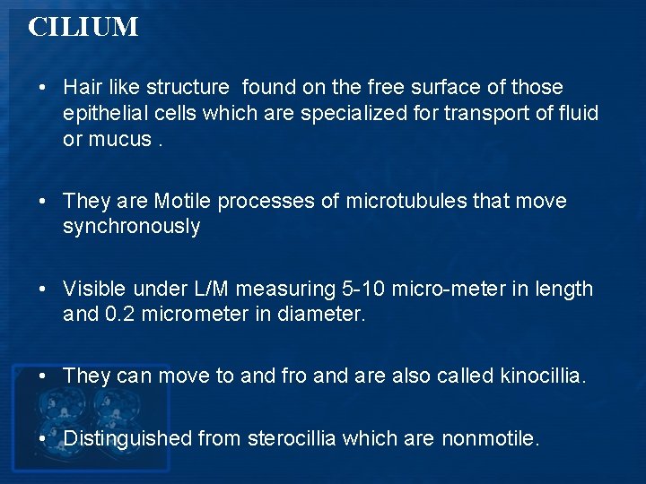 CILIUM • Hair like structure found on the free surface of those epithelial cells