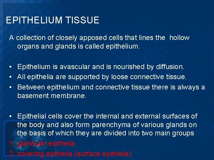 EPITHELIUM TISSUE A collection of closely apposed cells that lines the hollow organs and