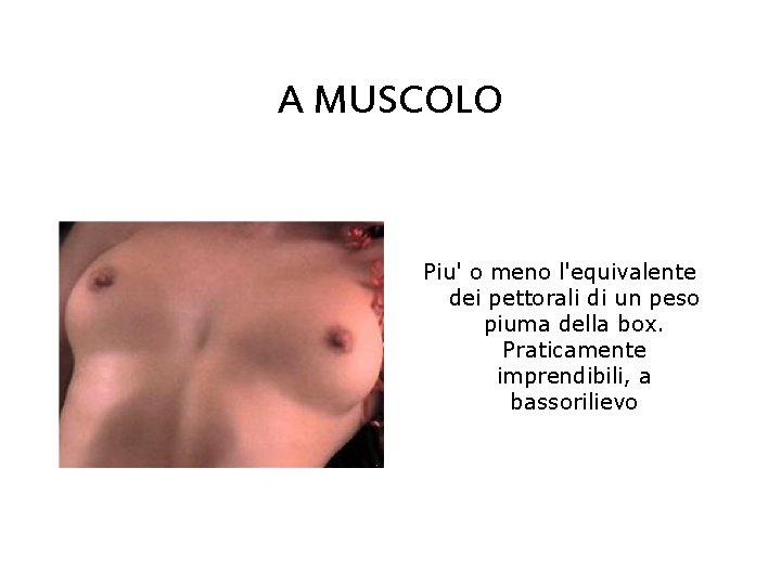 A MUSCOLO Piu' o meno l'equivalente dei pettorali di un peso piuma della box.