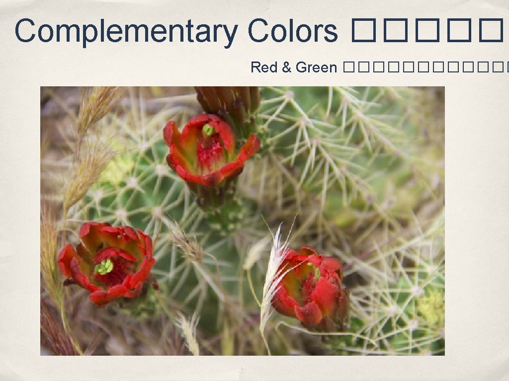 Complementary Colors ������ Red & Green ������ 