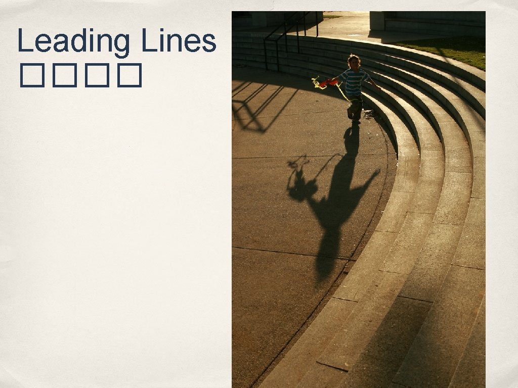 Leading Lines ���� 