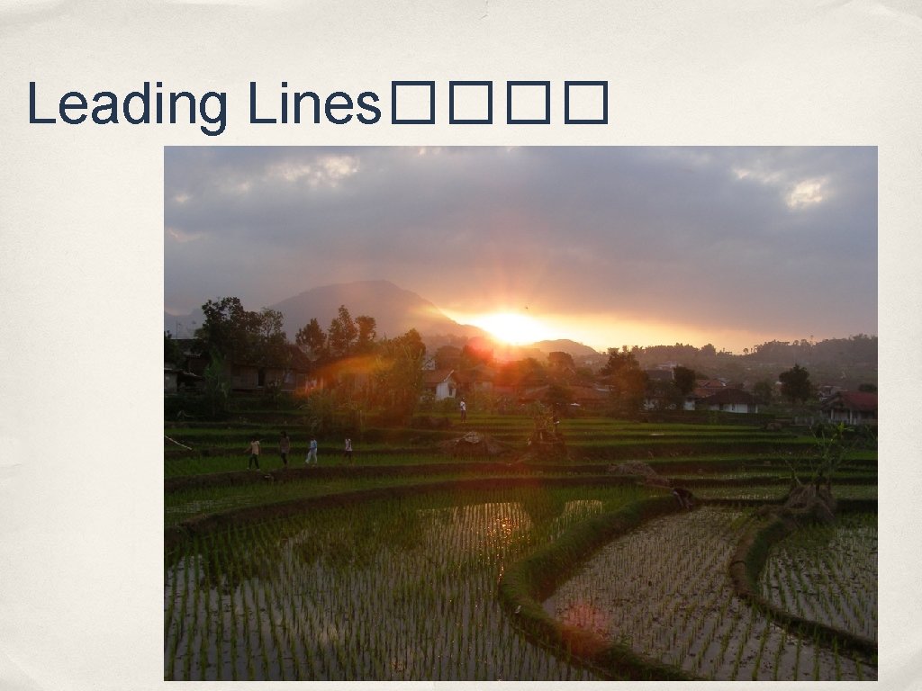 Leading Lines���� 