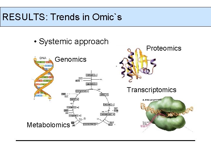 RESULTS: Trends in Omic`s • Systemic approach Proteomics Genomics Transcriptomics Metabolomics 