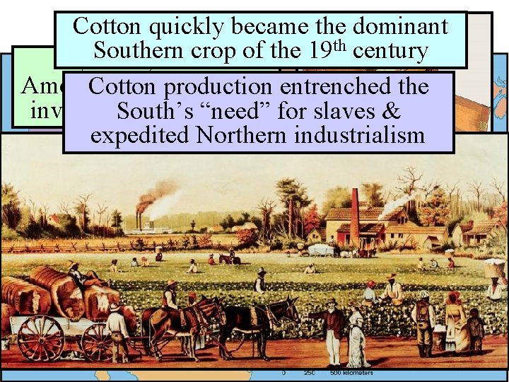 Cotton quickly became the dominant The U. S. Economy in 1800 th century Southern