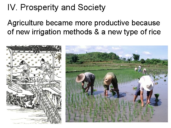 IV. Prosperity and Society Agriculture became more productive because of new irrigation methods &