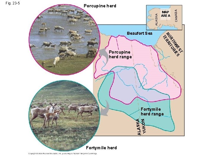 Porcupine herd range T ES ES HW RI RT ITO NO RR TE Beaufort