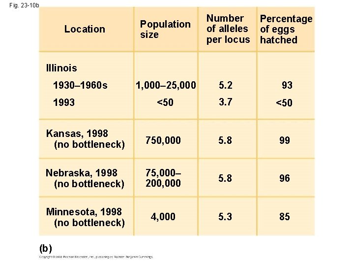 Fig. 23 -10 b Location Population size Number Percentage of alleles of eggs per