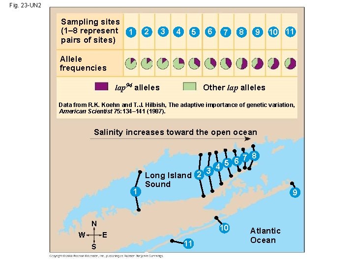 Fig. 23 -UN 2 Sampling sites (1– 8 represent pairs of sites) 2 1