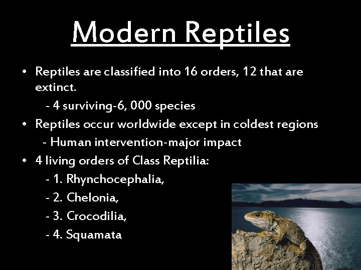 Modern Reptiles • Reptiles are classified into 16 orders, 12 that are extinct. -