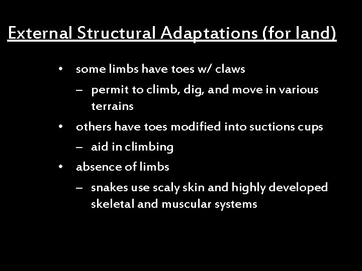 External Structural Adaptations (for land) • some limbs have toes w/ claws – permit