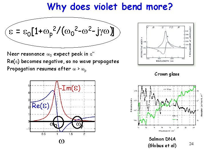 Why does violet bend more? 2/(w 2 -jgw) w e = e 0[1+ p