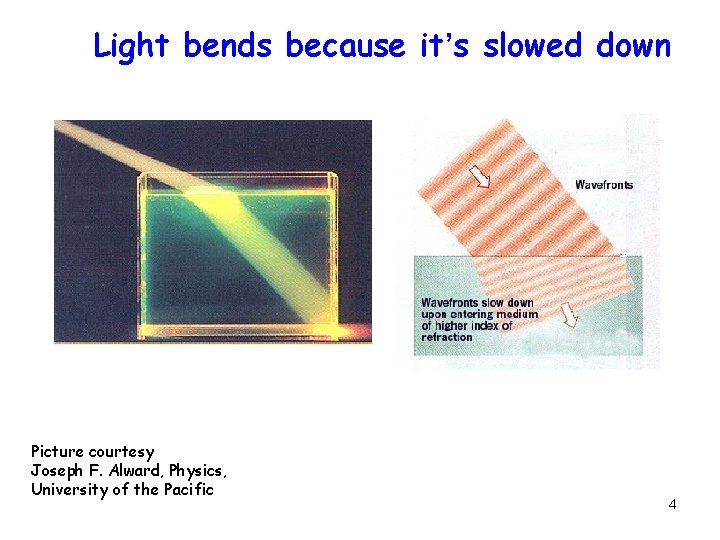 Light bends because it’s slowed down Reflection/Transmission Picture courtesy Joseph F. Alward, Physics, University