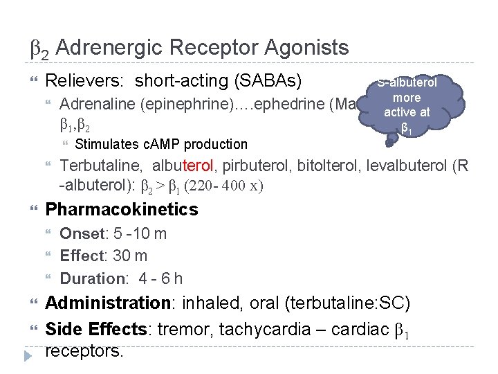 β 2 Adrenergic Receptor Agonists Relievers: short-acting (SABAs) Adrenaline (epinephrine)…. ephedrine β 1, β