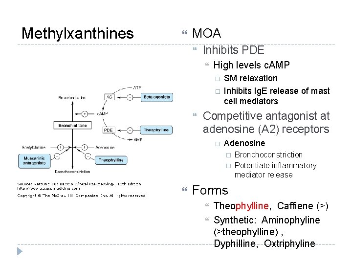 Methylxanthines MOA Inhibits PDE High levels c. AMP SM relaxation Inhibits Ig. E release