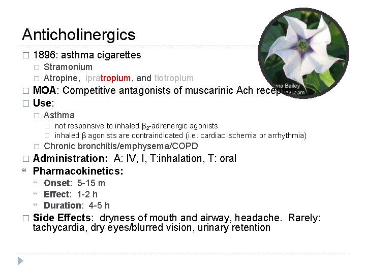 Anticholinergics � 1896: asthma cigarettes � � Stramonium Atropine, ipratropium, and tiotropium MOA: Competitive