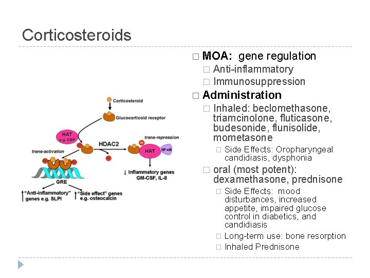 Corticosteroids � MOA: gene regulation Anti-inflammatory � Immunosuppression � � Administration � Inhaled: beclomethasone,