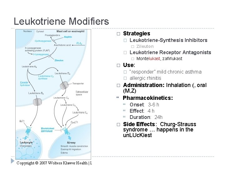 Leukotriene Modifiers � Strategies � Leukotriene-Synthesis Inhibitors � � Leukotriene Receptor Antagonists � �