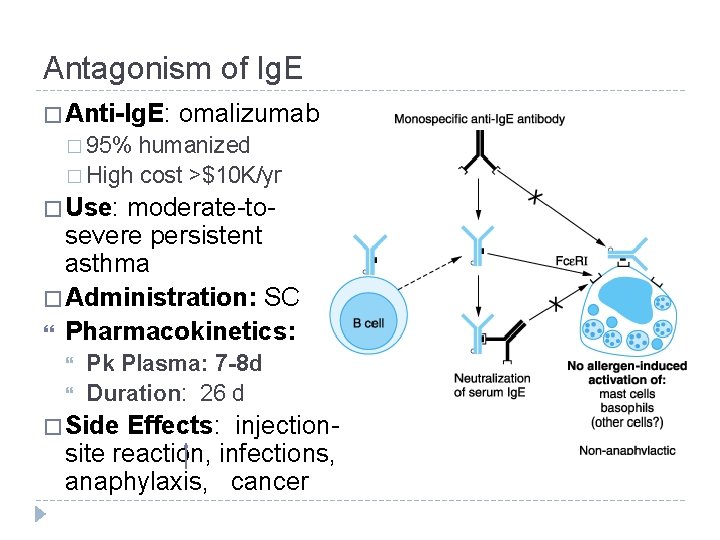 Antagonism of Ig. E � Anti-Ig. E: omalizumab � 95% humanized � High cost