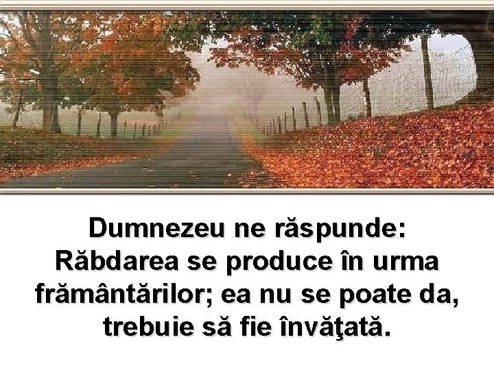 Dumnezeu ne răspunde: Răbdarea se produce în urma frământărilor; ea nu se poate da,