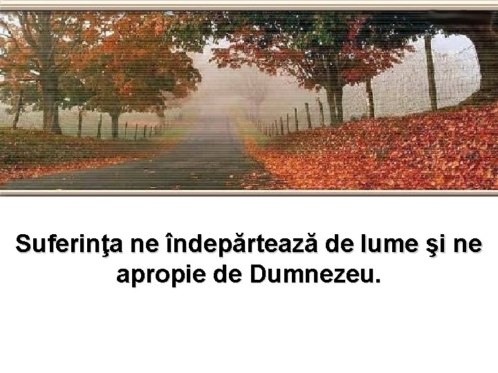 Suferinţa ne îndepărtează de lume şi ne apropie de Dumnezeu. 