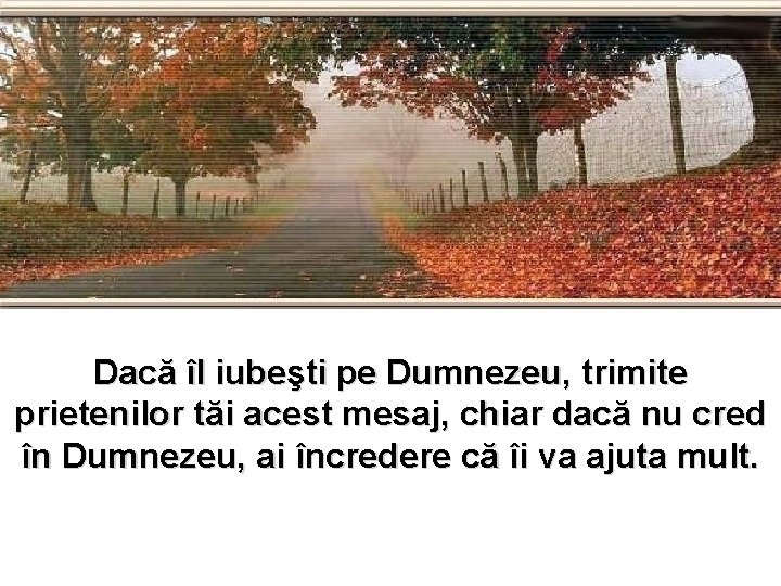 Dacă îl iubeşti pe Dumnezeu, trimite prietenilor tăi acest mesaj, chiar dacă nu cred