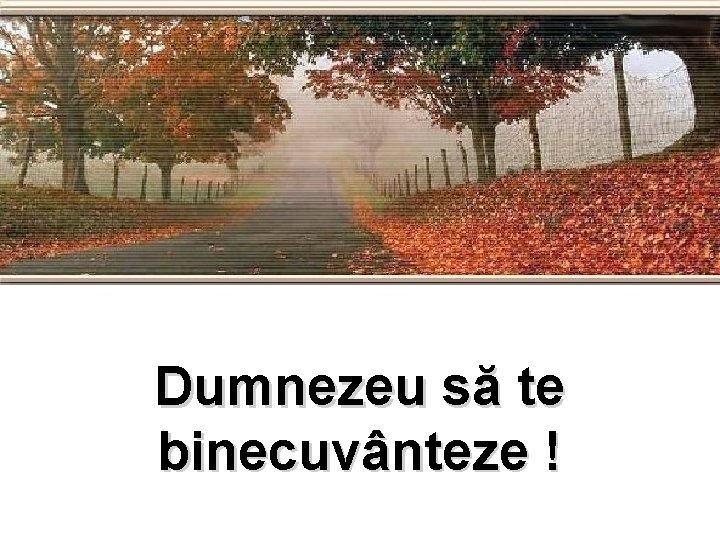 Dumnezeu să te binecuvânteze ! 