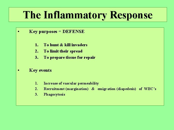The Inflammatory Response • Key purposes = DEFENSE 1. 2. 3. • To hunt
