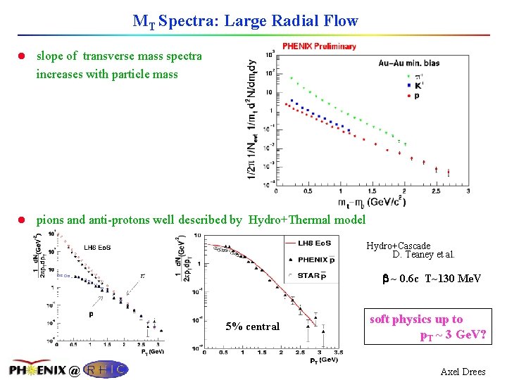 MT Spectra: Large Radial Flow l slope of transverse mass spectra increases with particle