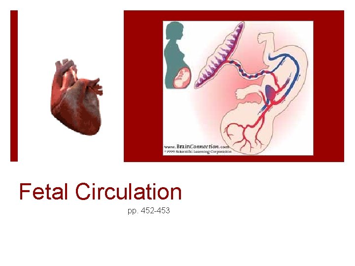 Fetal Circulation pp. 452 -453 