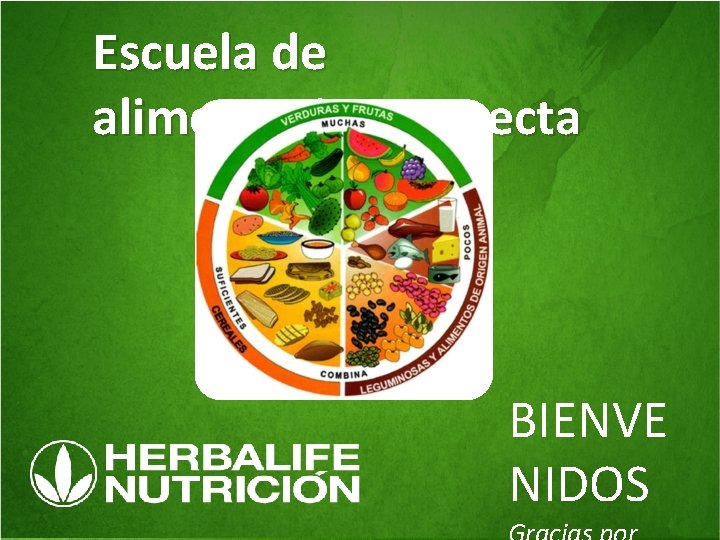 Escuela de alimentacion correcta BIENVE NIDOS 