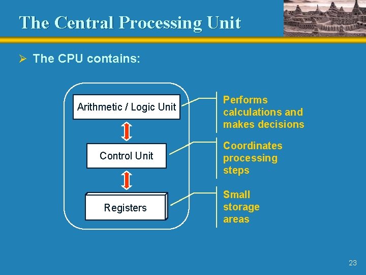 The Central Processing Unit Ø The CPU contains: Arithmetic / Logic Unit Control Unit The Central Processing Unit Ø The CPU contains: Arithmetic / Logic Unit Control Unit