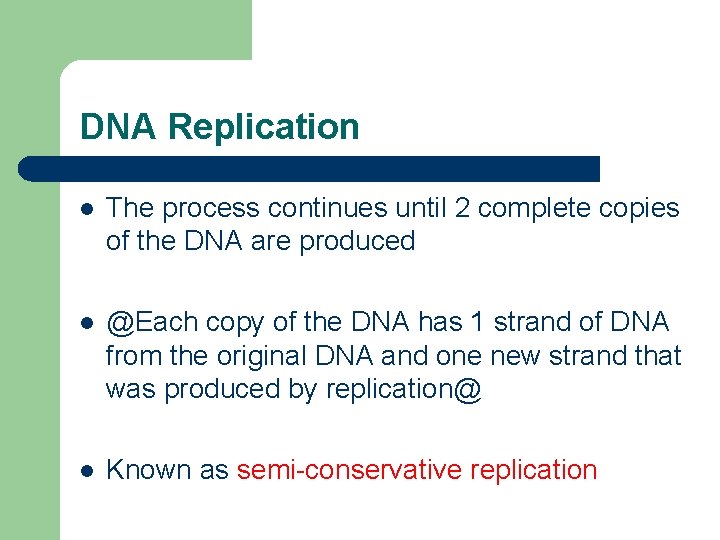 DNA Replication l The process continues until 2 complete copies of the DNA are