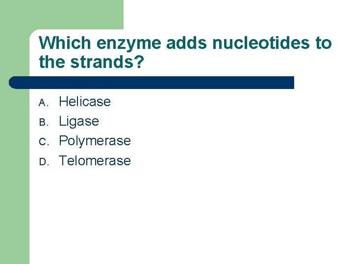 Which enzyme adds nucleotides to the strands? A. B. C. D. Helicase Ligase Polymerase