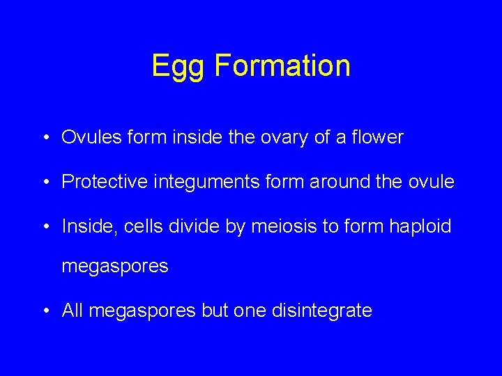 Egg Formation • Ovules form inside the ovary of a flower • Protective integuments