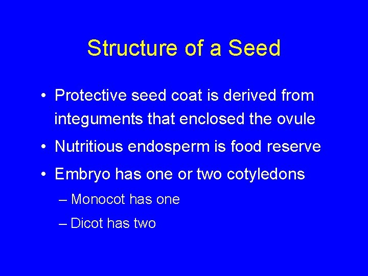 Structure of a Seed • Protective seed coat is derived from integuments that enclosed