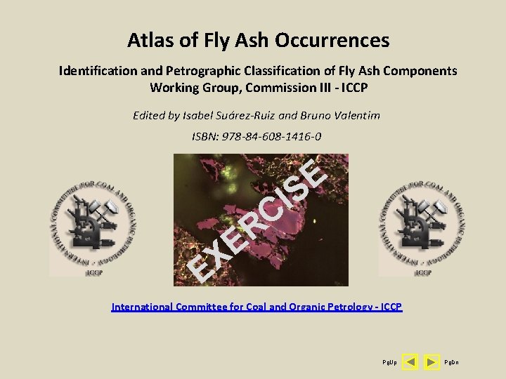 Atlas of Fly Ash Occurrences Identification and Petrographic Classification of Fly Ash Components Working