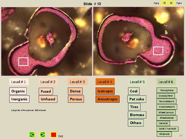 Pg. Up Slide # 13 Level # 1 Level # 2 Level # 3