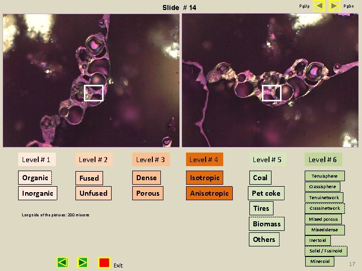 Pg. Up Slide # 14 Level # 1 Level # 2 Level # 3