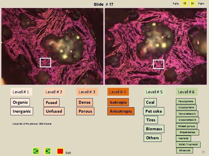 Pg. Up Slide # 17 Pg. Dn Level # 1 Level # 2 Level