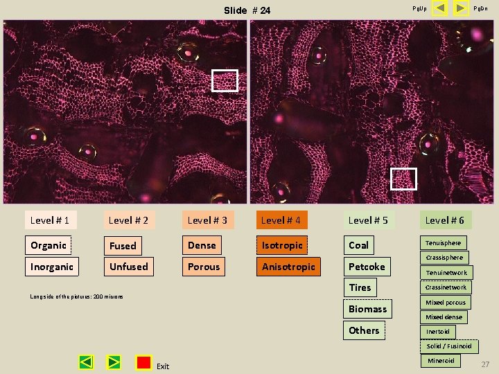 Pg. Up Slide # 24 Pg. Dn Level # 1 Level # 2 Level