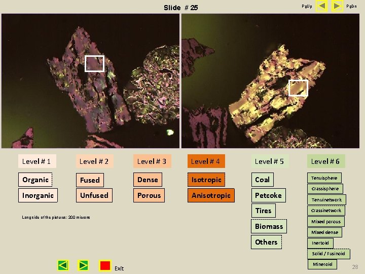 Pg. Up Slide # 25 Pg. Dn Level # 1 Level # 2 Level