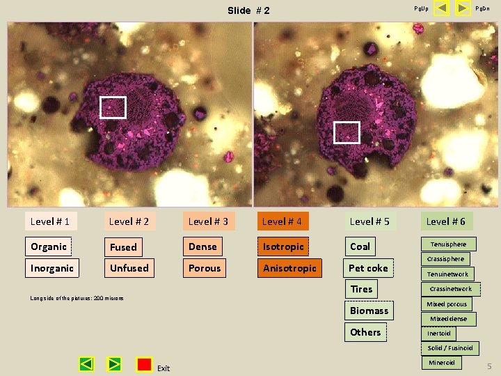 Pg. Up Slide # 2 Level # 1 Level # 2 Level # 3